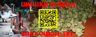 apvp Кингисепп