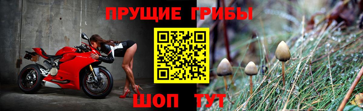 Южно-Сахалинск  наркошоп  Вход с VPN  Псилоцибиновые грибы MAGIC MUSHROOMS  Псилоцибиновые грибы Psilocybe 